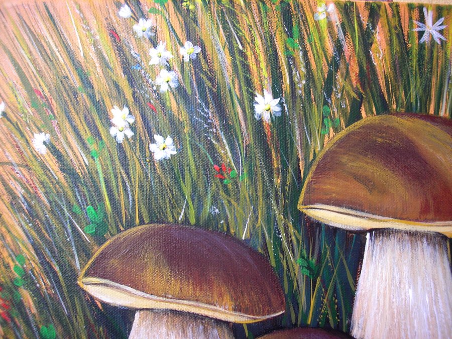 Mushrooms for dad