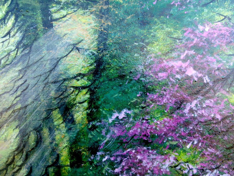 Morning in the forest