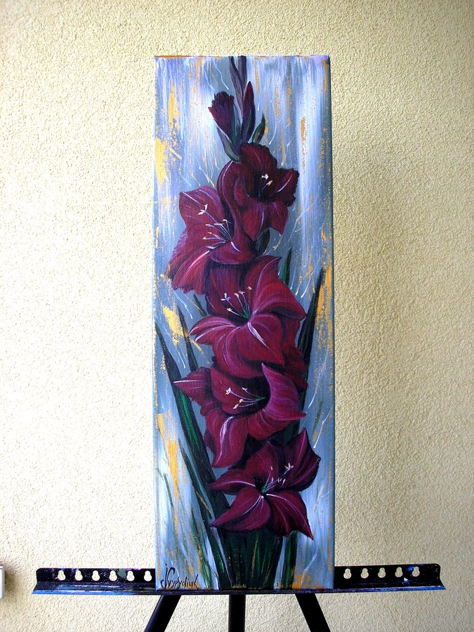 Red gladiolus