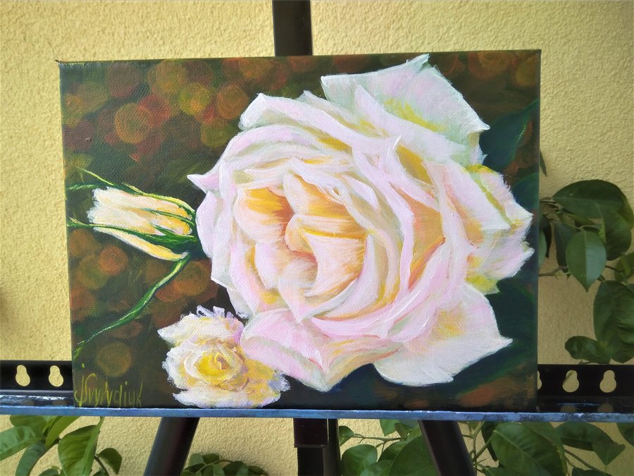 White rose