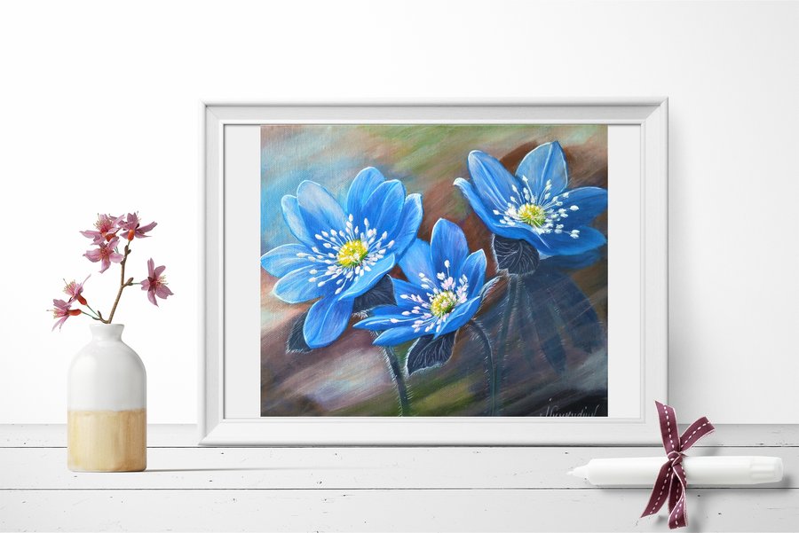 Flowers  Hepatica